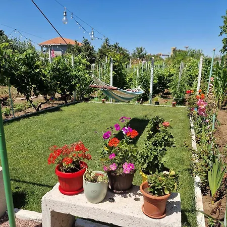 Casa Simona Pensjonat 3*