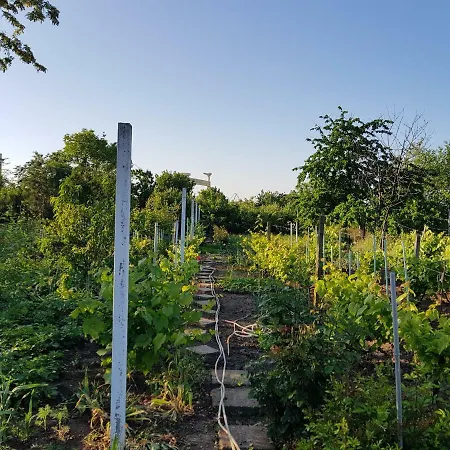 Casa Simona Pensjonat